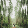 10 lugares especiales para celebrar tu boda
