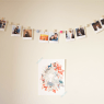 Mi Polabox + Sorteo Cerrado
