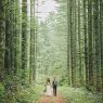 Una Boda privada en el Bosque