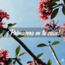 Primavera en Casa: E-book gratuito