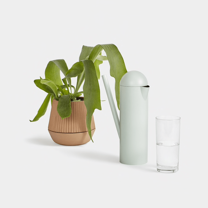 regadera-diseño